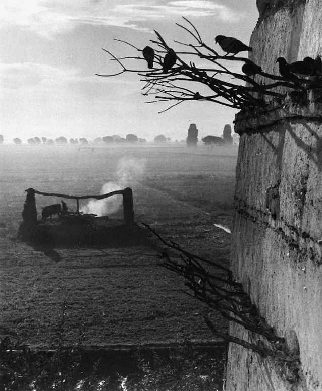 Paul Strand: North Africa 2008 2009 Howard Greenberg Gallery