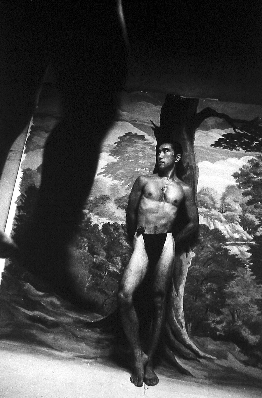 Photographers of Japanese Descent 2008 Howard Greenberg Gallery