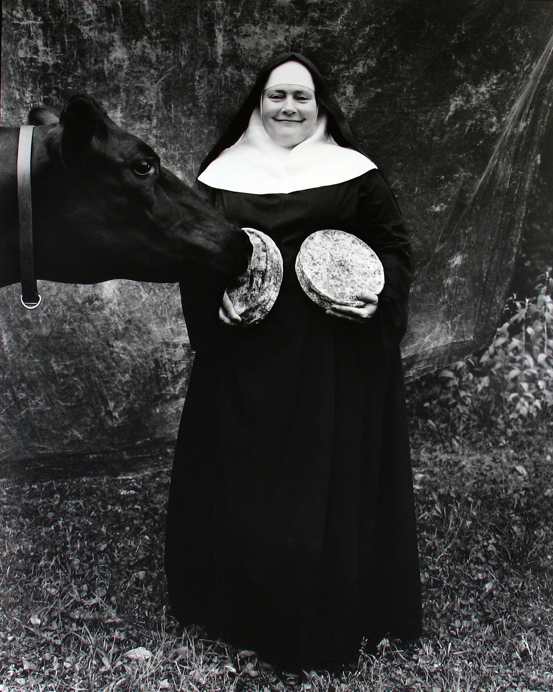 Beyond Words: Photography in the New Yorker 2011 Howard Greenberg Gallery