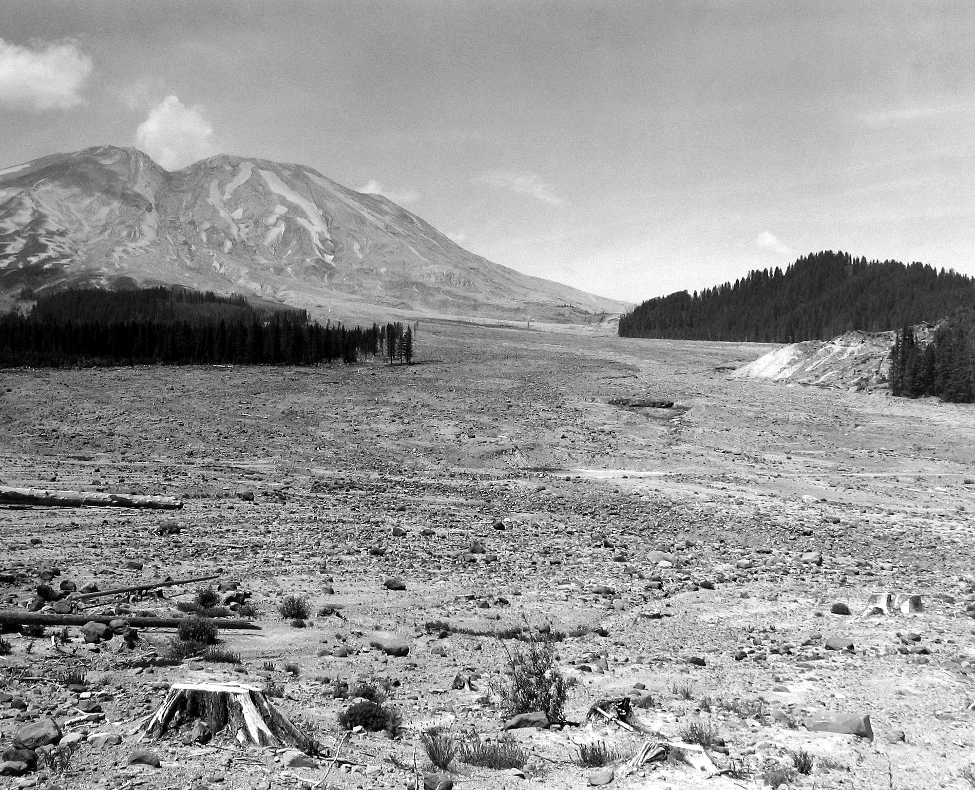 Frank Gohlke: Mount St. Helens 2005 howard greenberg gallery