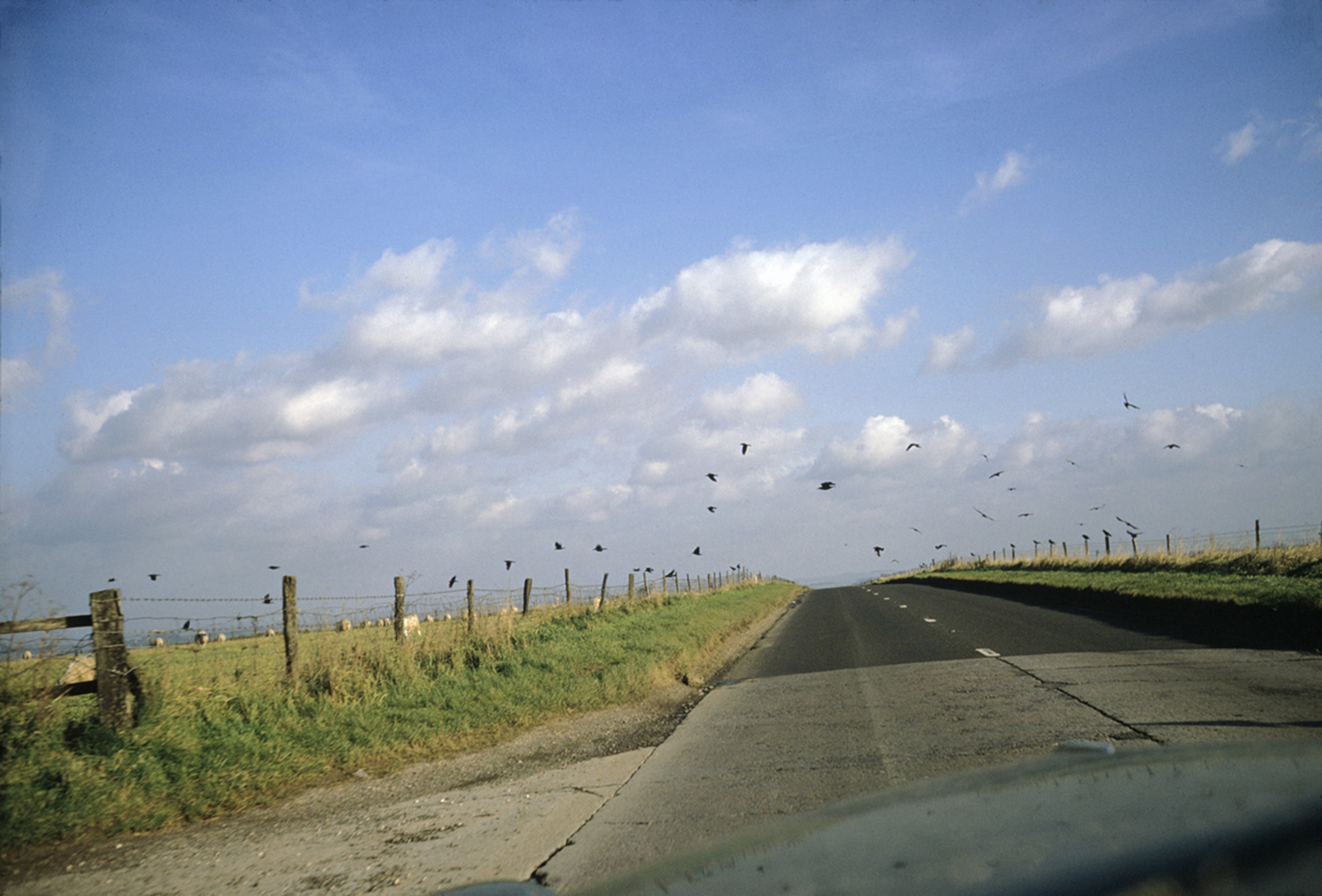 Joel Meyerowitz From the Car 2014 Howard Greenberg Gallery