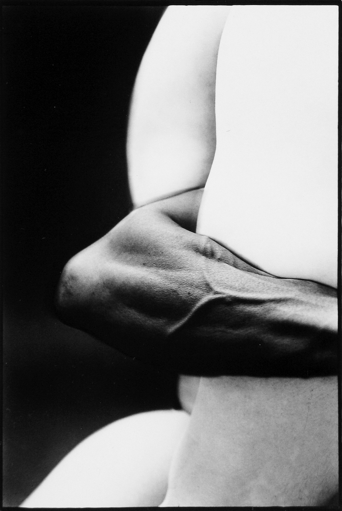 Photo Libris: Important Books and Photographs 2006 howard greenberg gallery