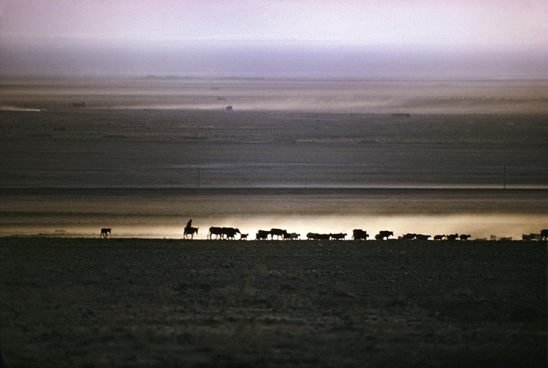 Bruce Davidson - In Color - Howard Greenberg Gallery - 2015