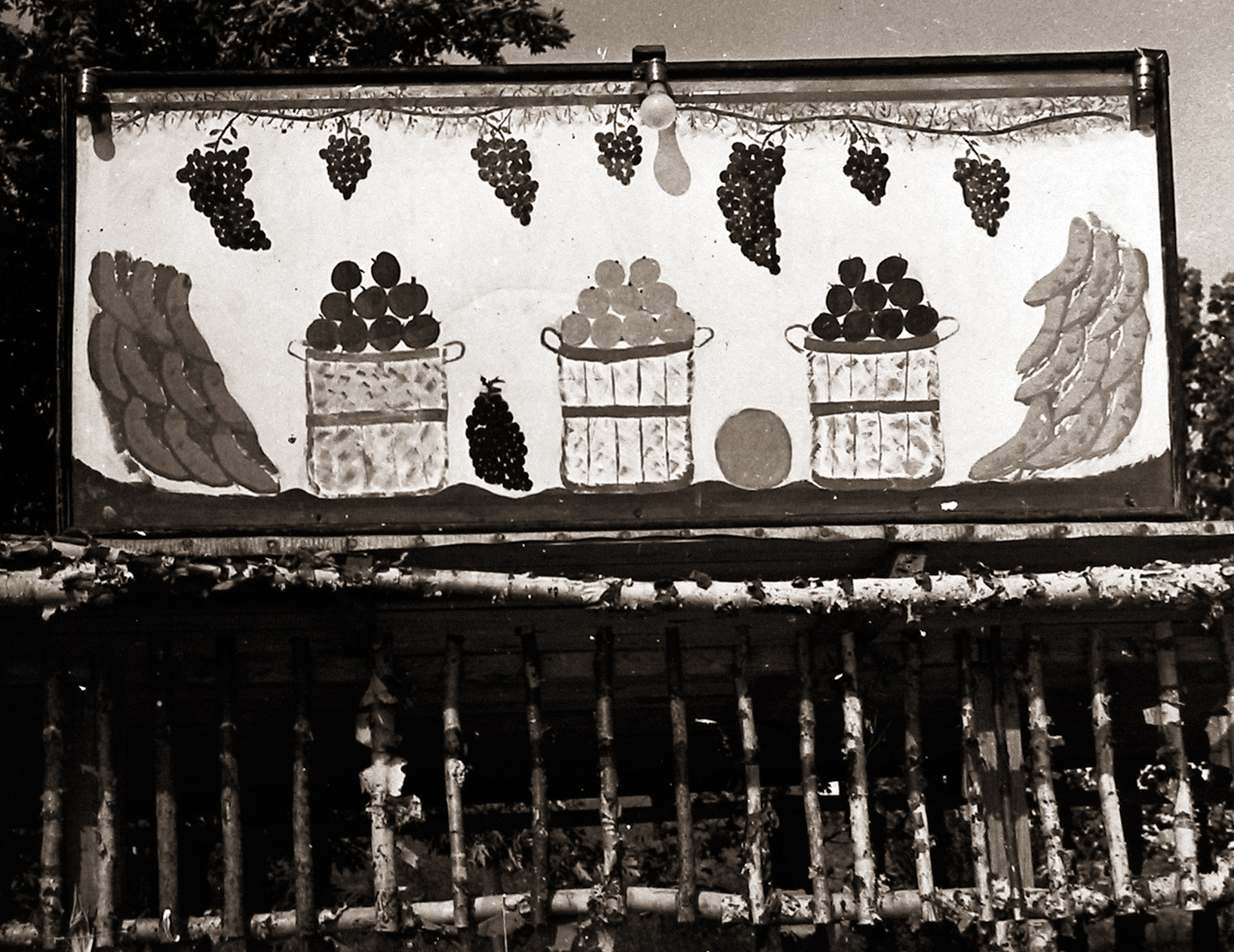 Peter Sekaer: An Untold Story 2010 Howard Greenberg Gallery