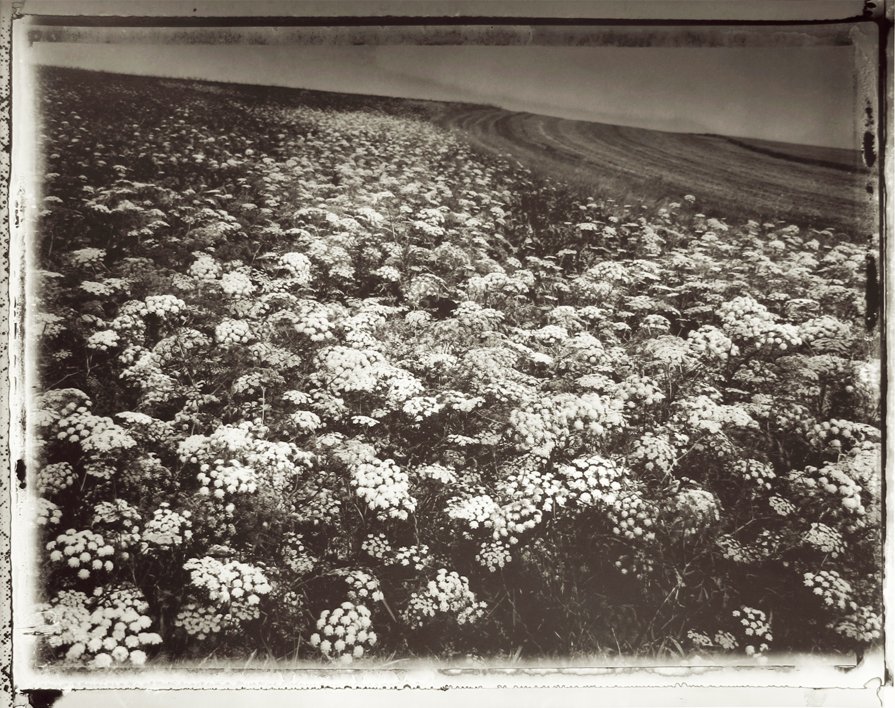 Sarah Moon: Now and Then 2012 Howard Greenberg Gallery