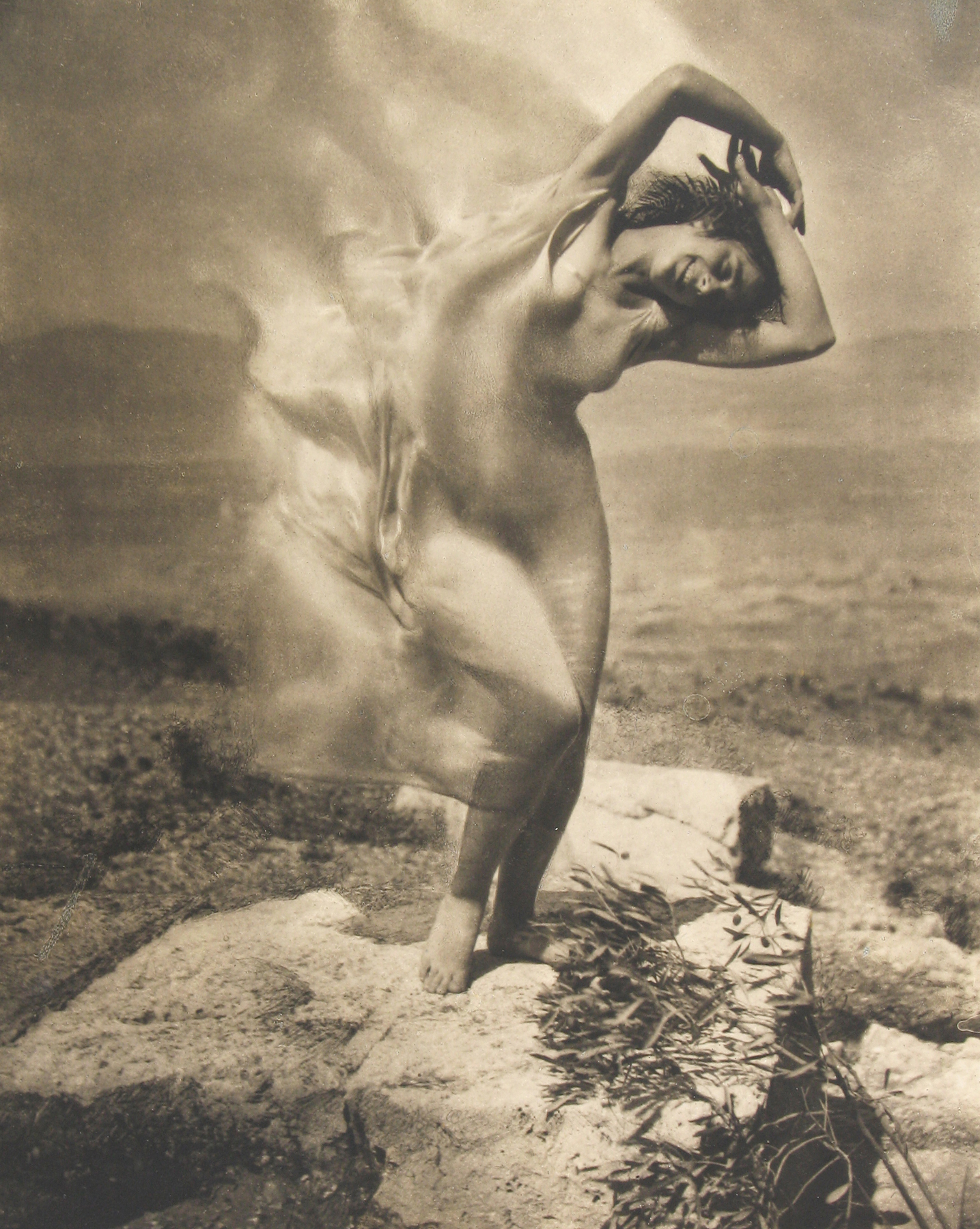 Edward Steichen: 1915-1923 2009 Howard Greenberg Gallery