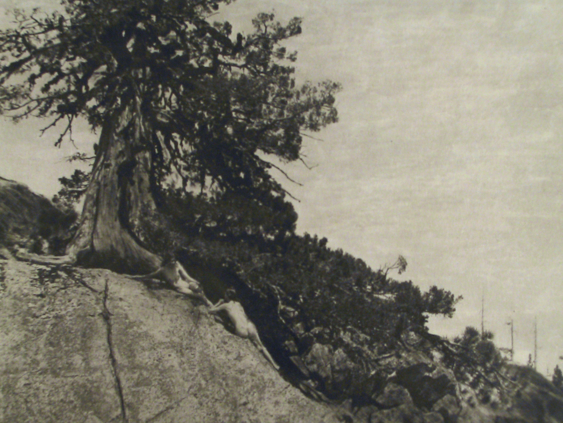 Staff Picks 2012 Howard Greenberg Gallery