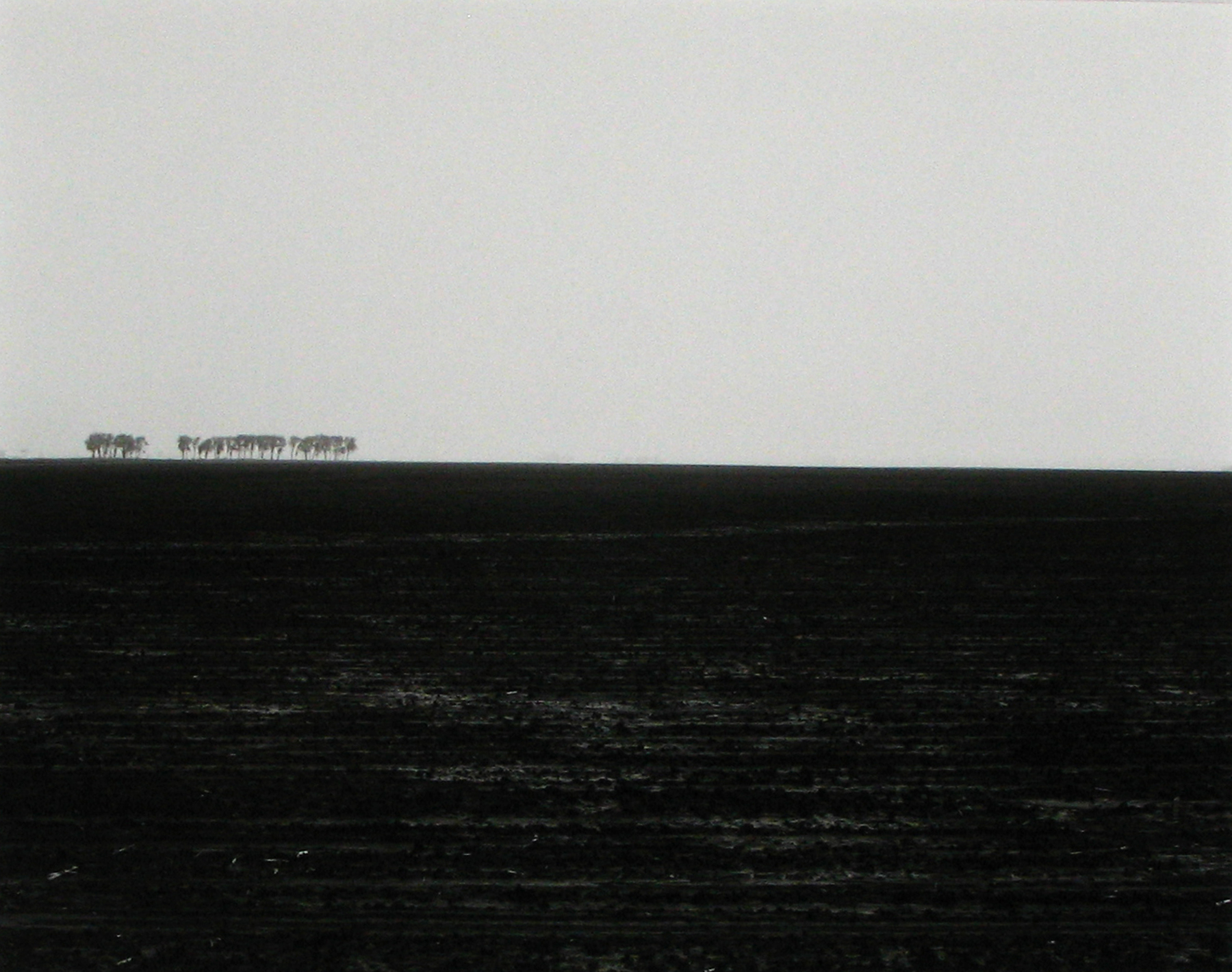 Land Lines - Howard Greenberg Gallery - 2015