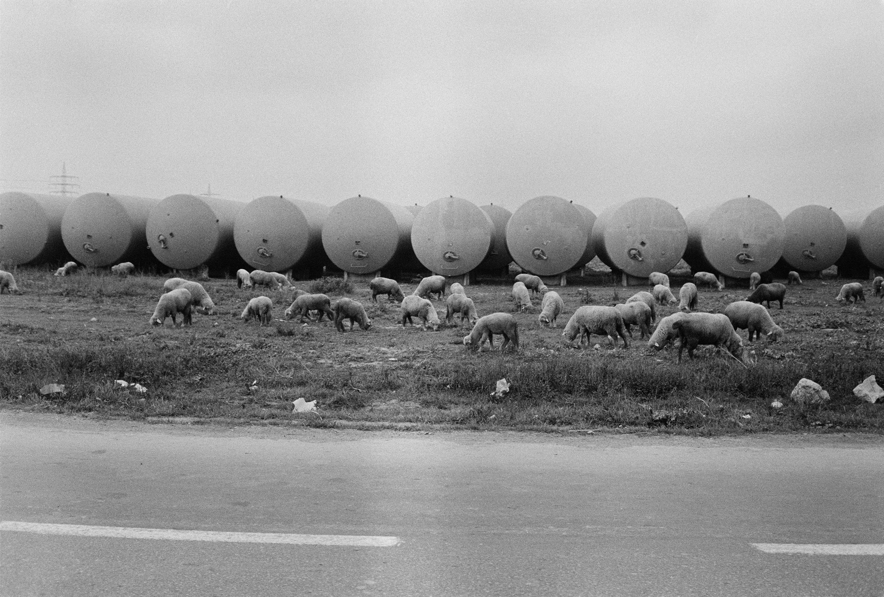 Joel Meyerowitz - European Trip: Photographs from the Car, 1968 2014 Howard Greenberg Gallery