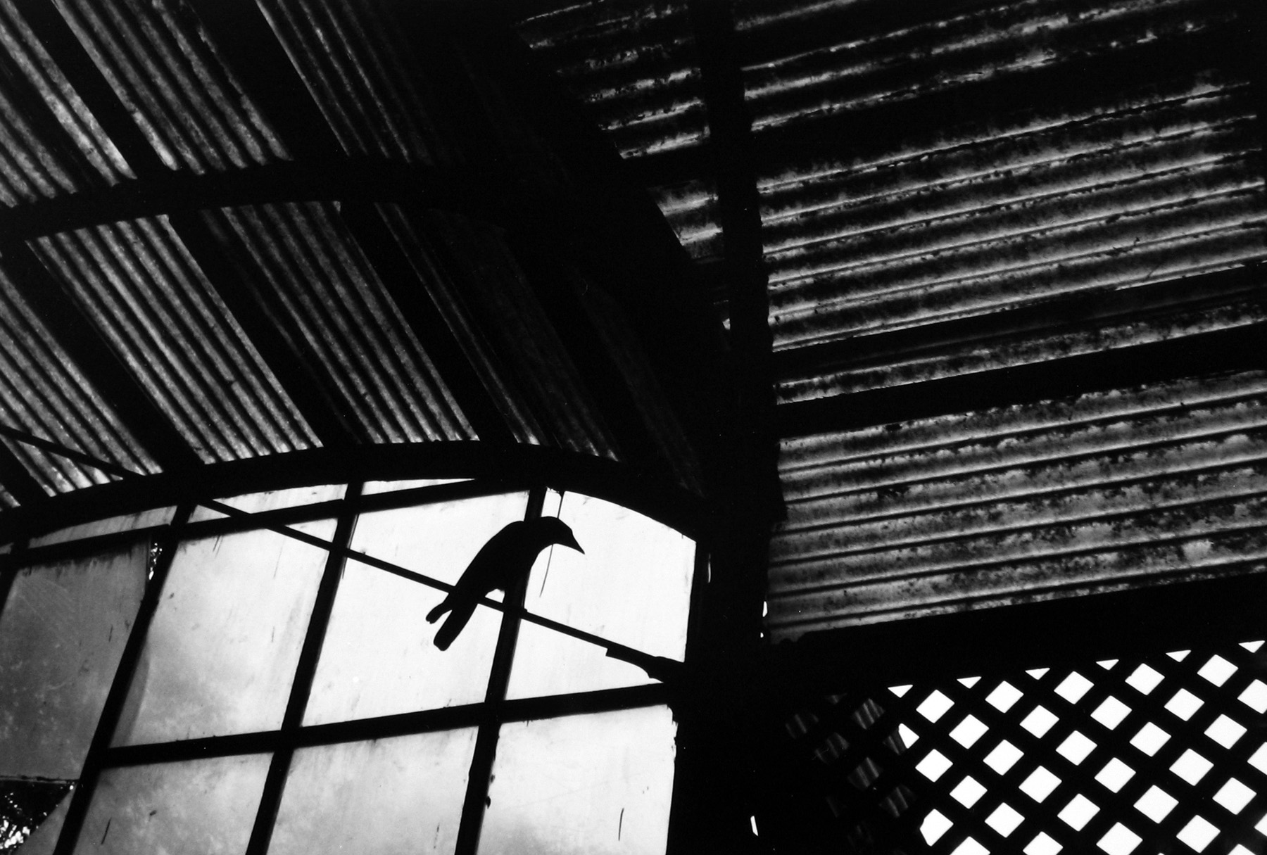 Betsy Karel: Bombay Jadoo 2009 Howard Greenberg Gallery