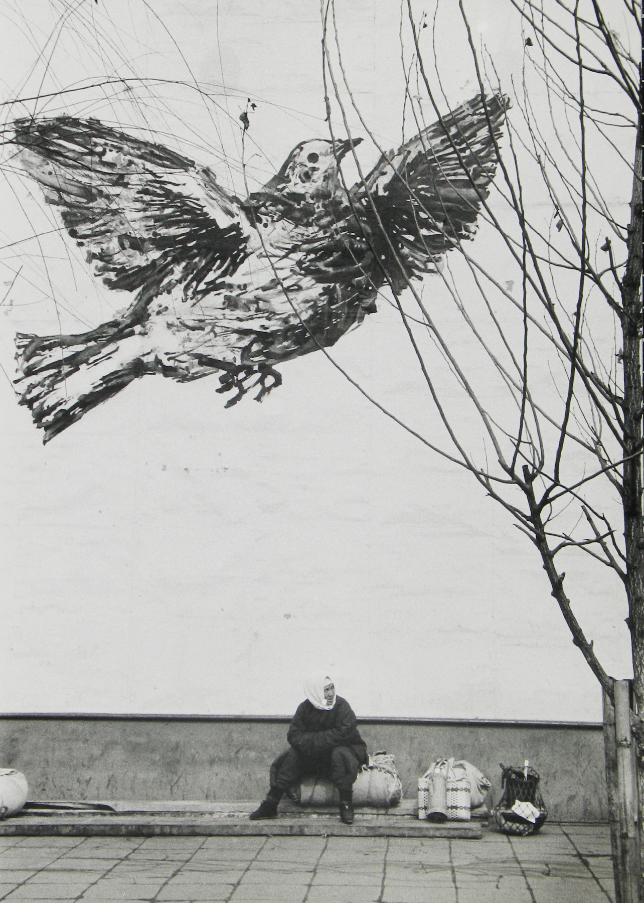 Marc Riboud: Home on the road 2008 Howard Greenberg Gallery