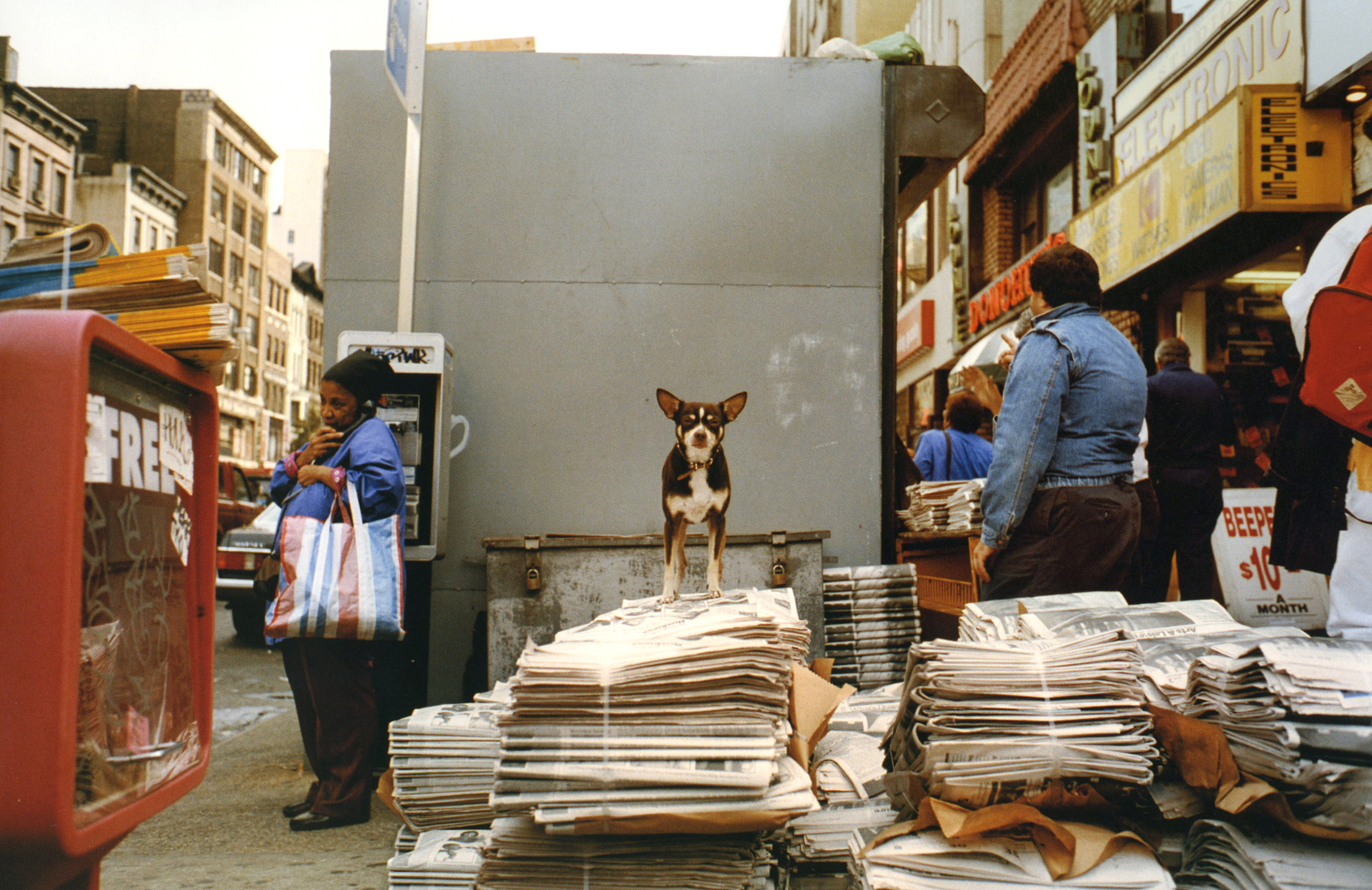 New York In Color 2012 howard greenberg gallery