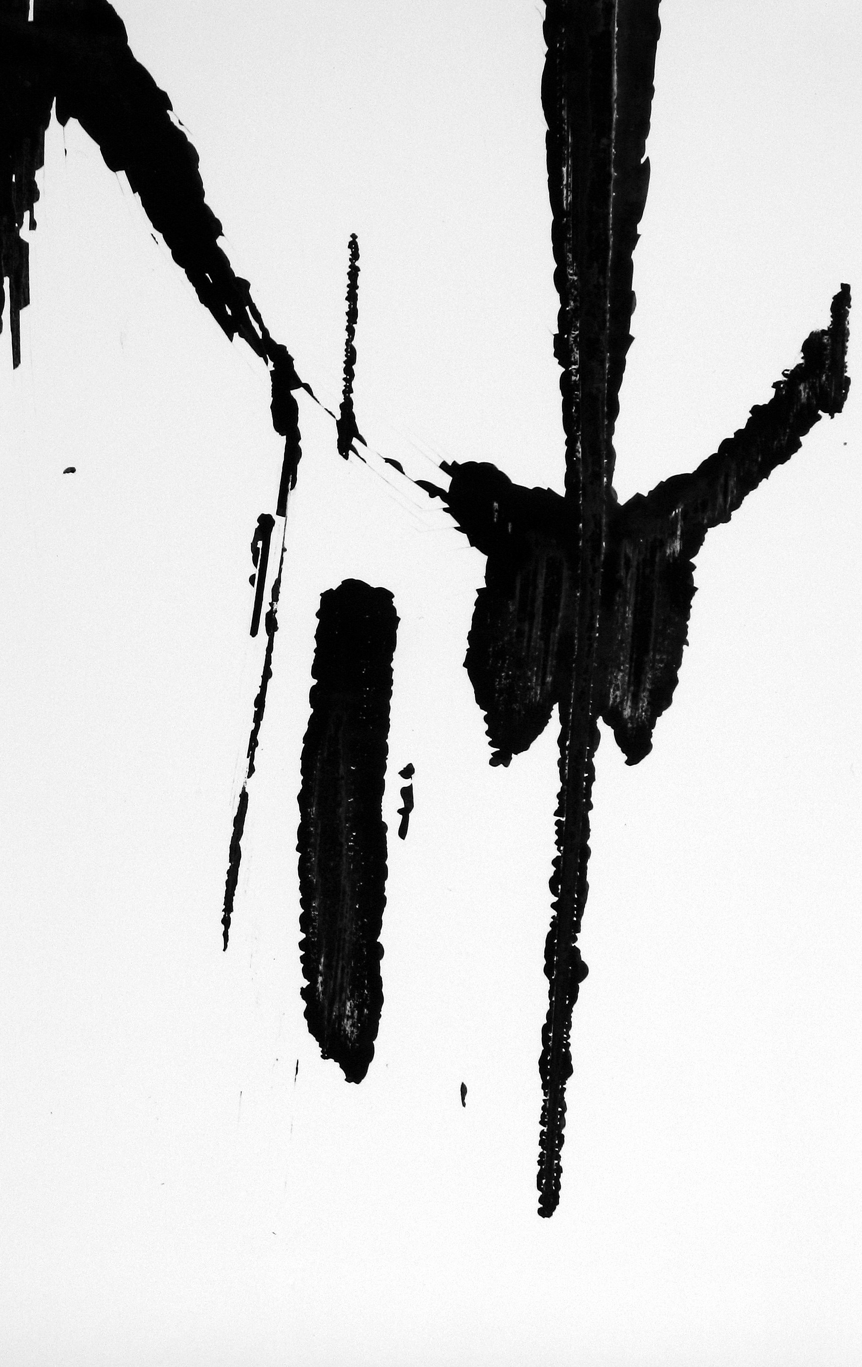 Minor White: Eye Mind Spirit 2008 Howard Greenberg Gallery