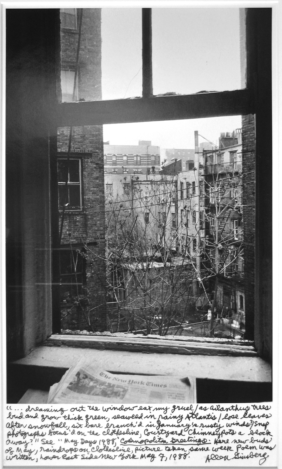 Allen Ginsberg - Ginsberg - Howard Greenberg Gallery - 2011