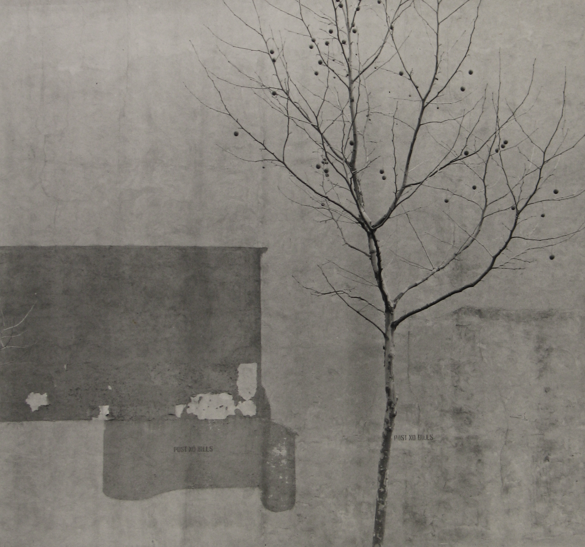 Arnold Newman: The Early Work 1938-1942 2007 Howard Greenberg Gallery