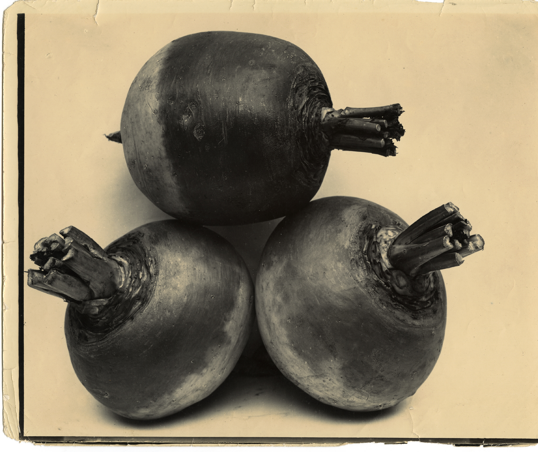 Charles Jones 2006 howard greenberg gallery