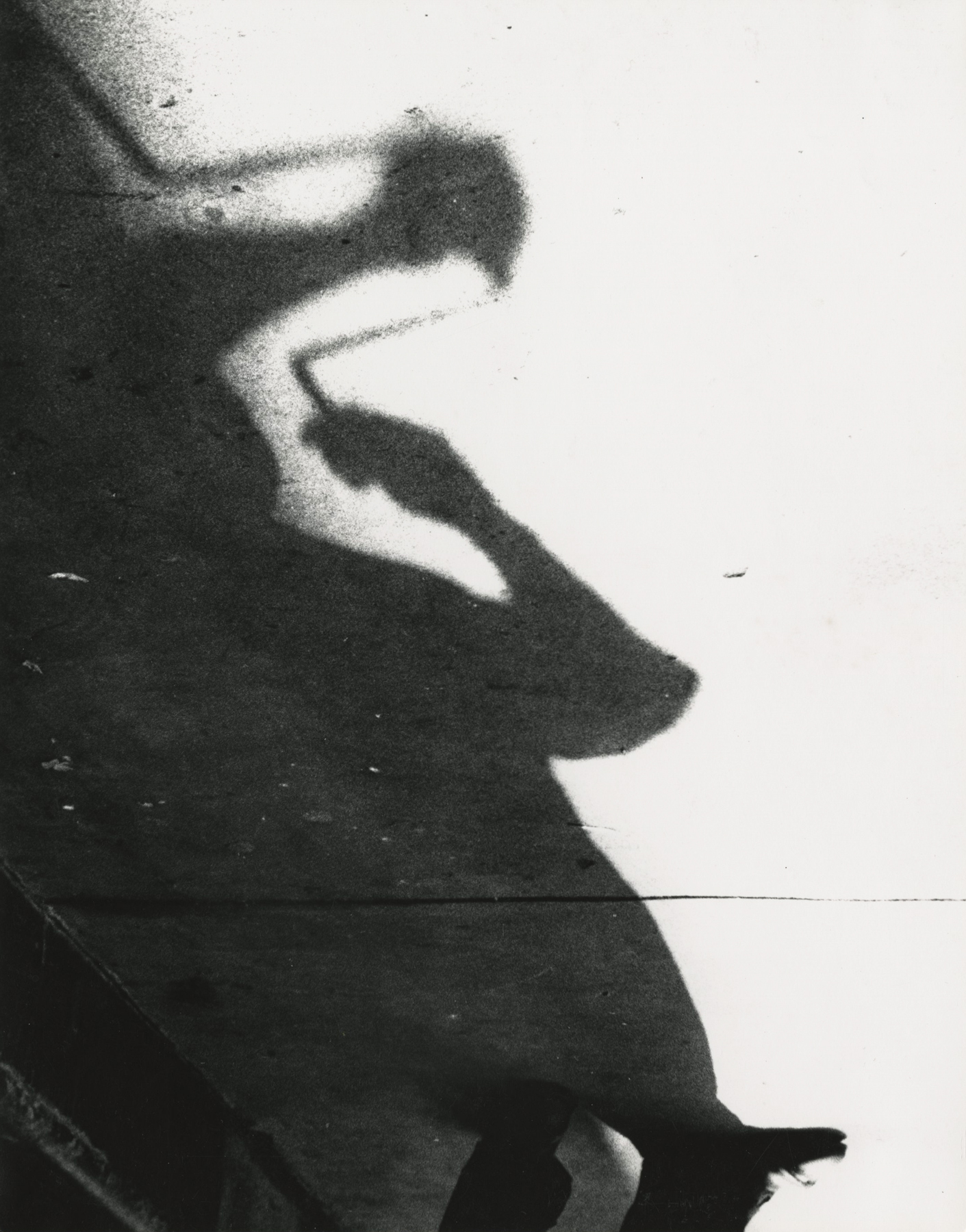 Marvin Newman - Shadow of a Man, Shadow Series, Chicago, 1951 - Howard Greenberg Gallery - 2019