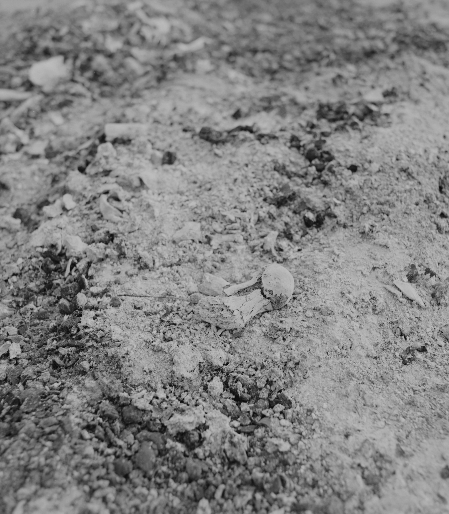 Kenro Izu: Eternal Light, Howard Greenberg Gallery, 2017