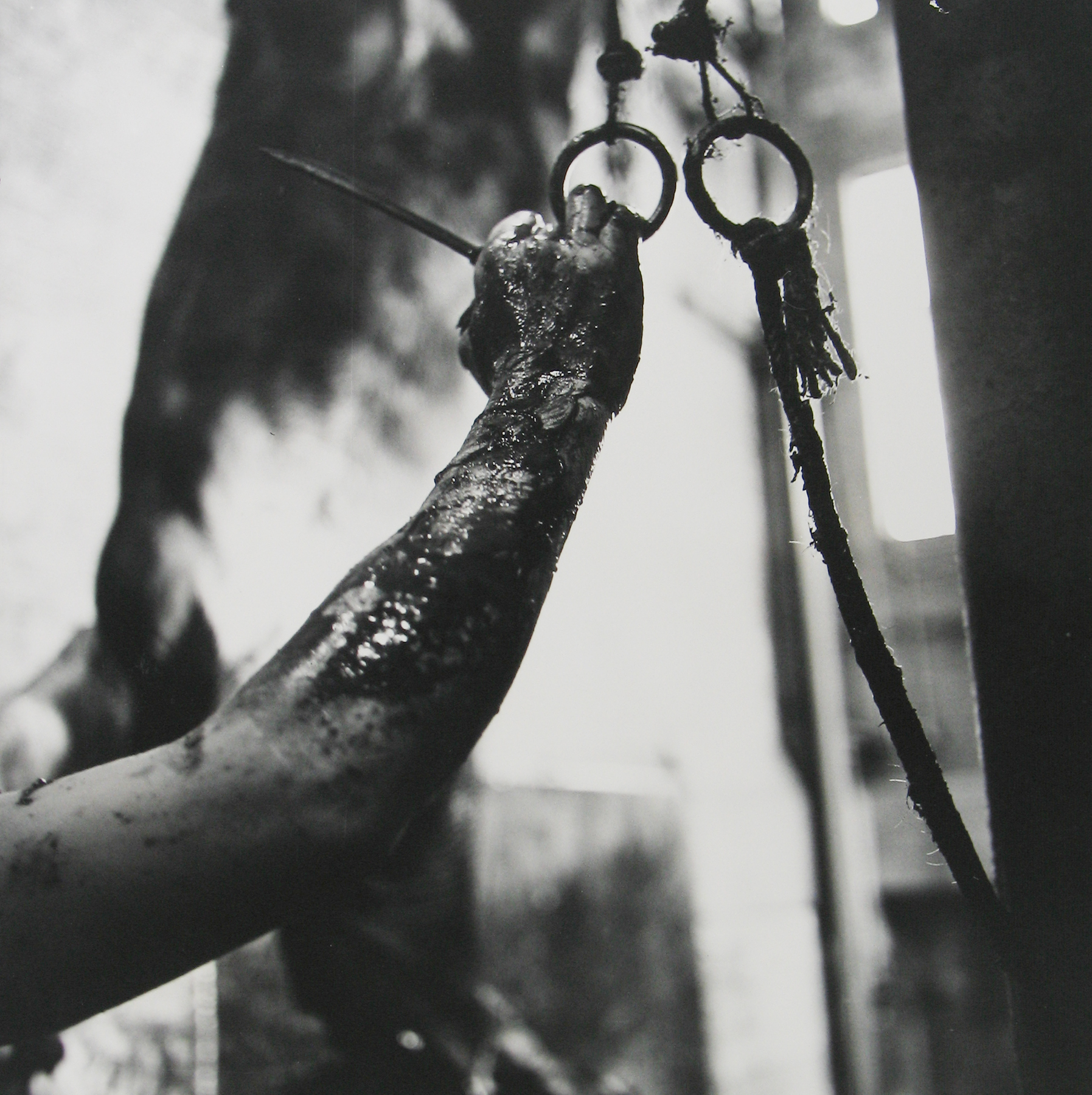 Staff Picks 2009 Howard Greenberg Gallery