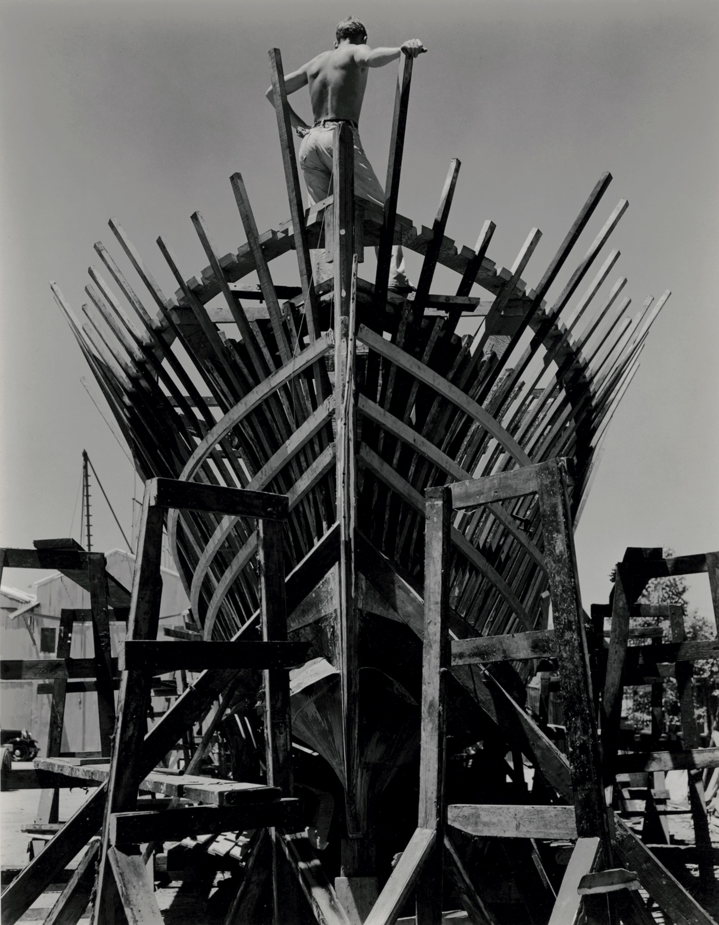 Staff Picks VI - Howard Greenberg Gallery - 2017 - Edward Weston