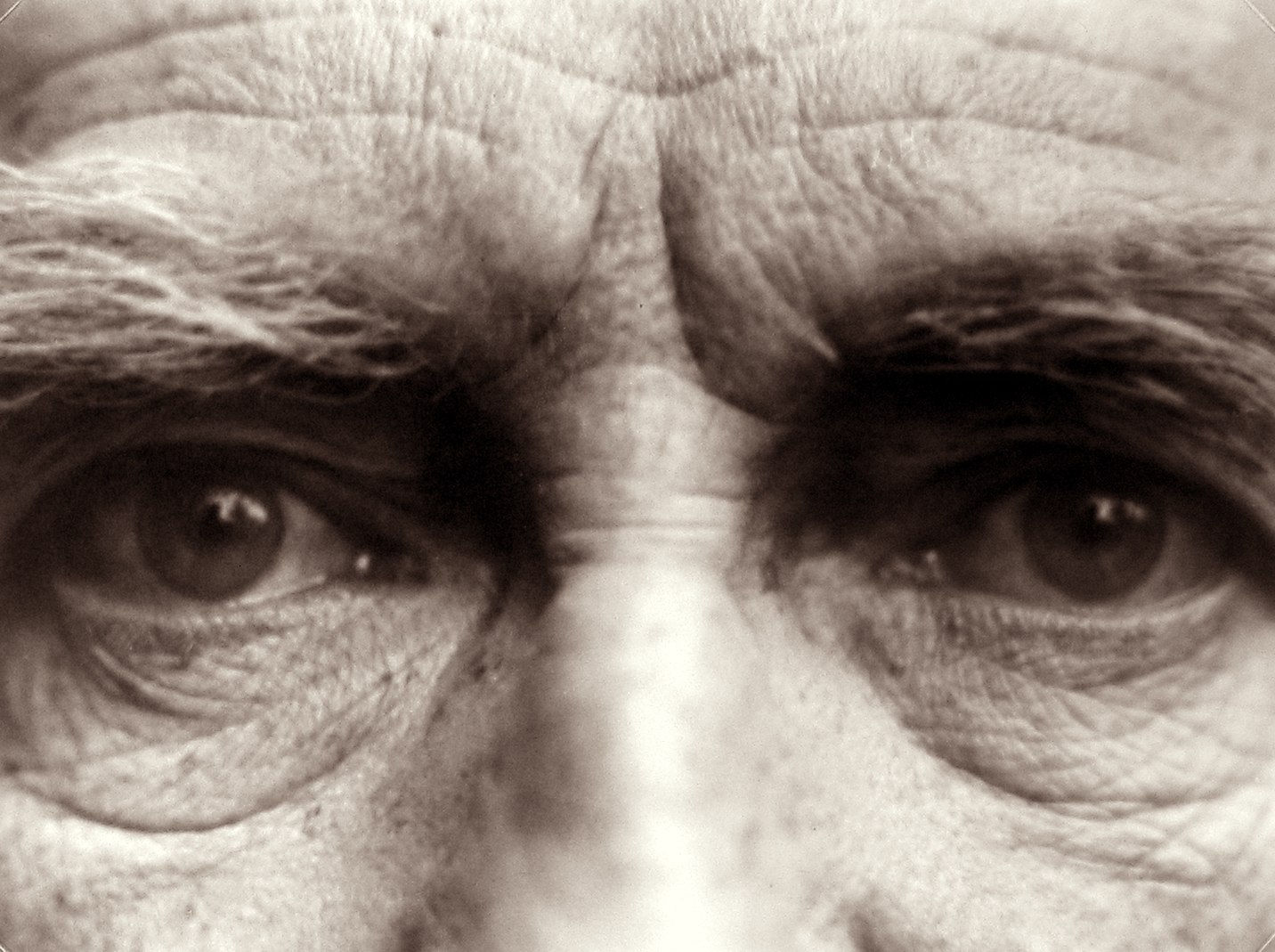 Self-Portraits 2013 2014 howard greenberg gallery