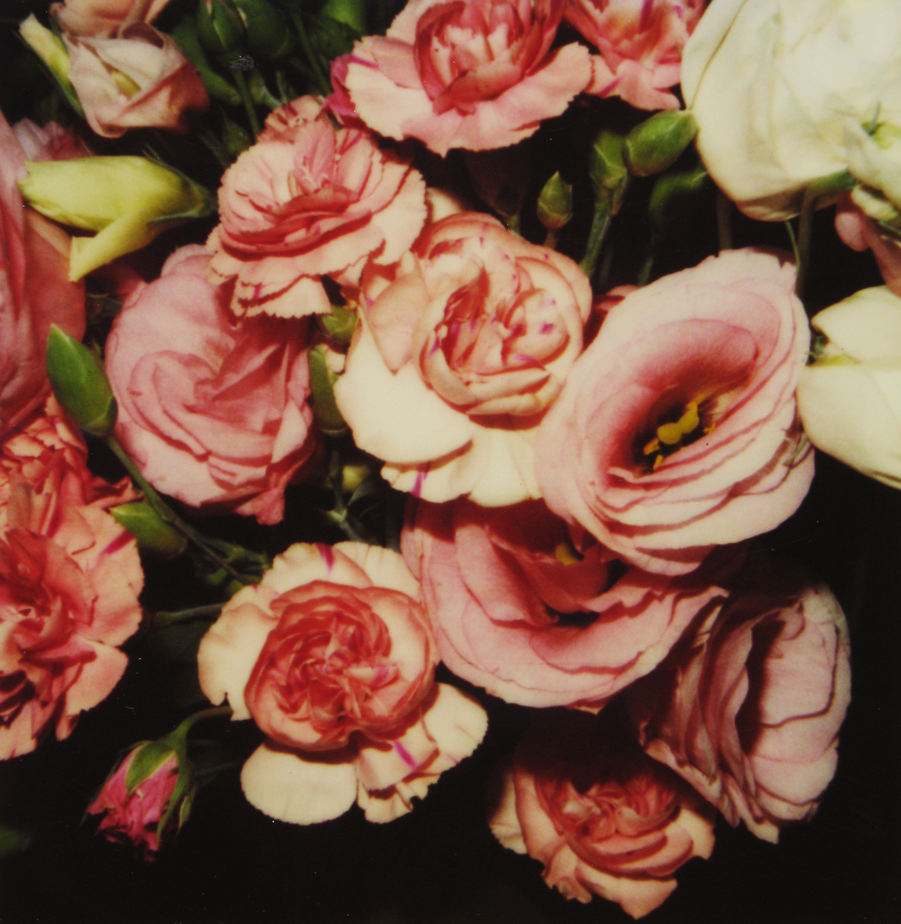 Photographers of Japanese Descent 2008 Howard Greenberg Gallery