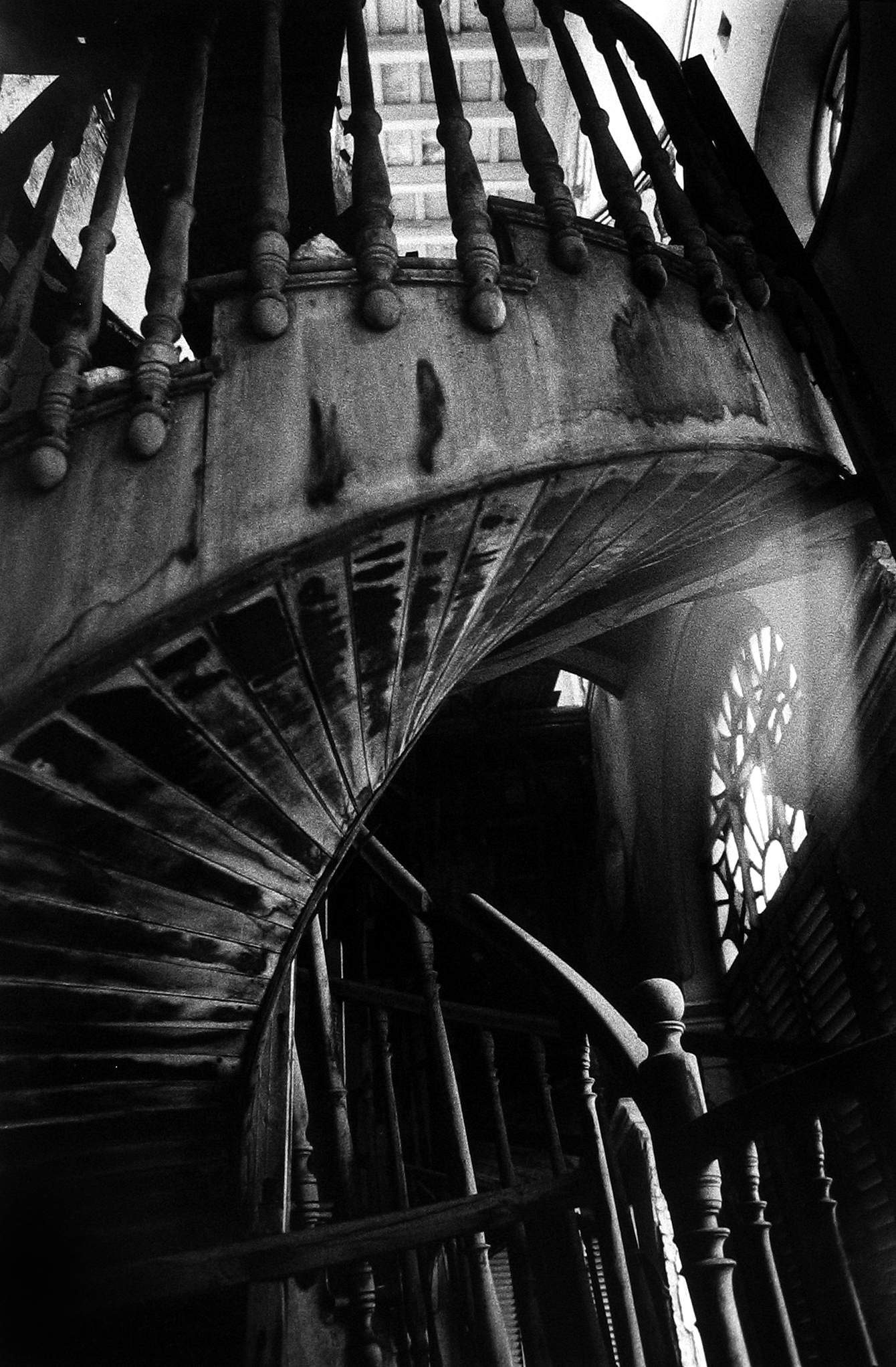 Upon Reflection Photographs by Judy Glickman Lauder Howard Greenberg Gallery 2017