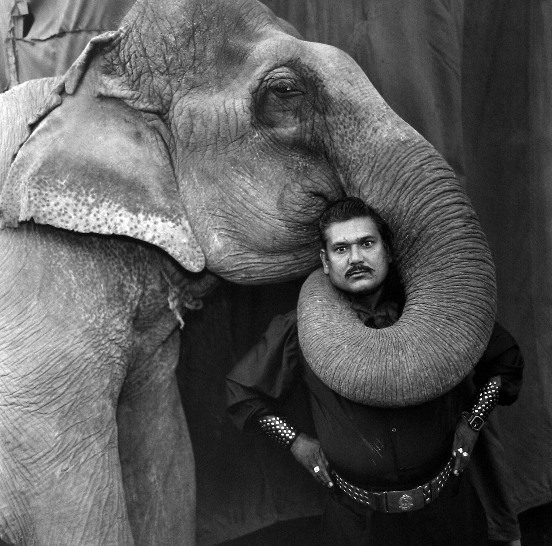 Mary Ellen Mark: Indian Circus 2009 howard greenberg gallery