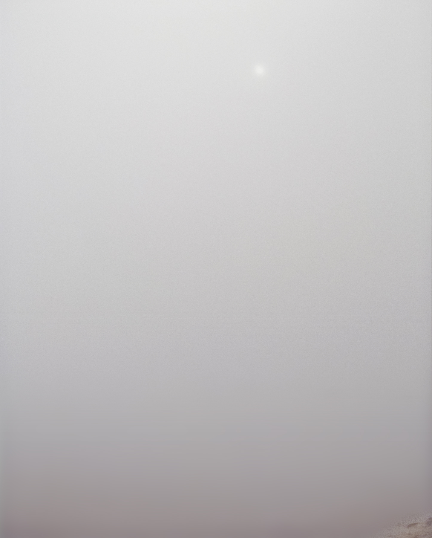 Joel Meyerowitz - 50 Years of Photographs Part II: 1976 - 2012 2012 Howard Greenberg Gallery