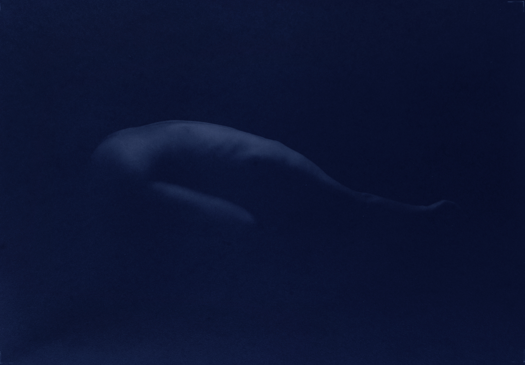 Kenro Izu: Blue 2004 Howard Greenberg gallery
