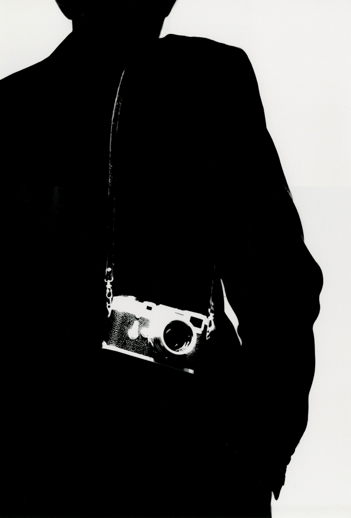 Marvin E. Newman: Sequentially Sought - Howard Greenberg Gallery - 2015