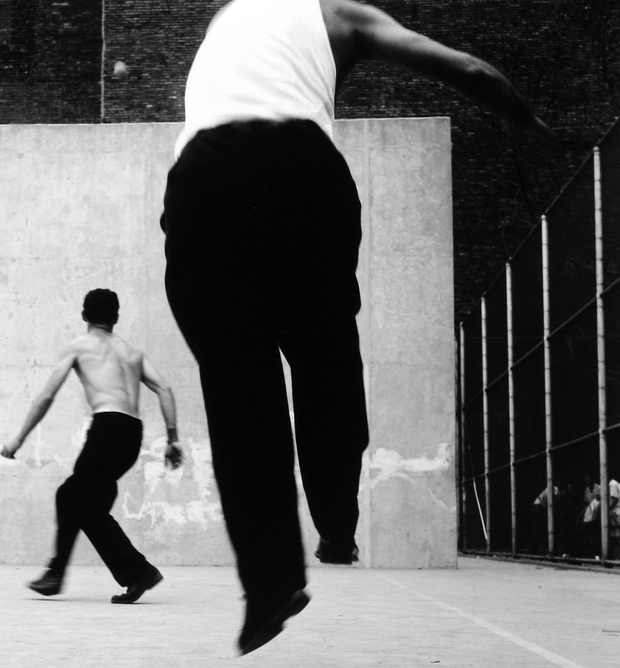 Photo Libris: Selected Books and Portfolios 2006 howard greenberg gallery