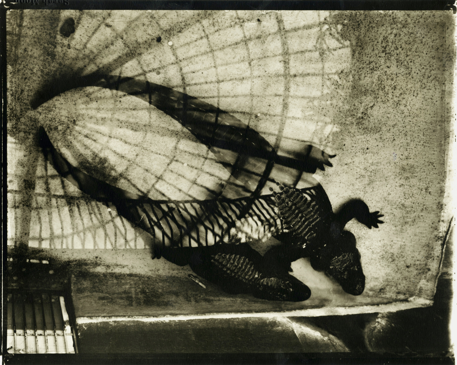 Sarah Moon: Now and Then 2012 Howard Greenberg Gallery