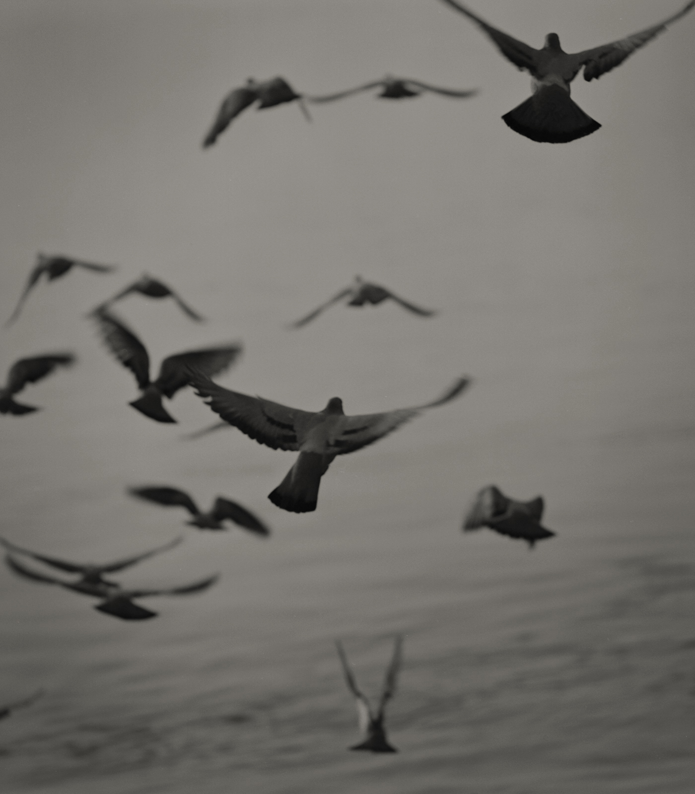 Kenro Izu: Eternal Light, Howard Greenberg Gallery, 2017