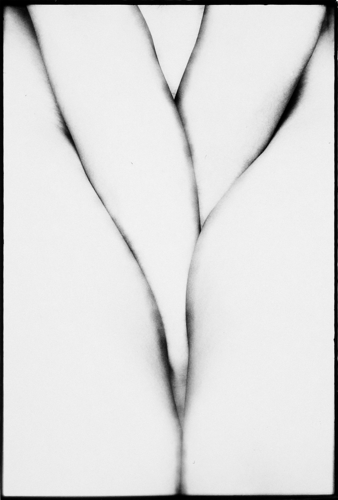 Photo Libris: Important Books and Photographs 2006 howard greenberg gallery