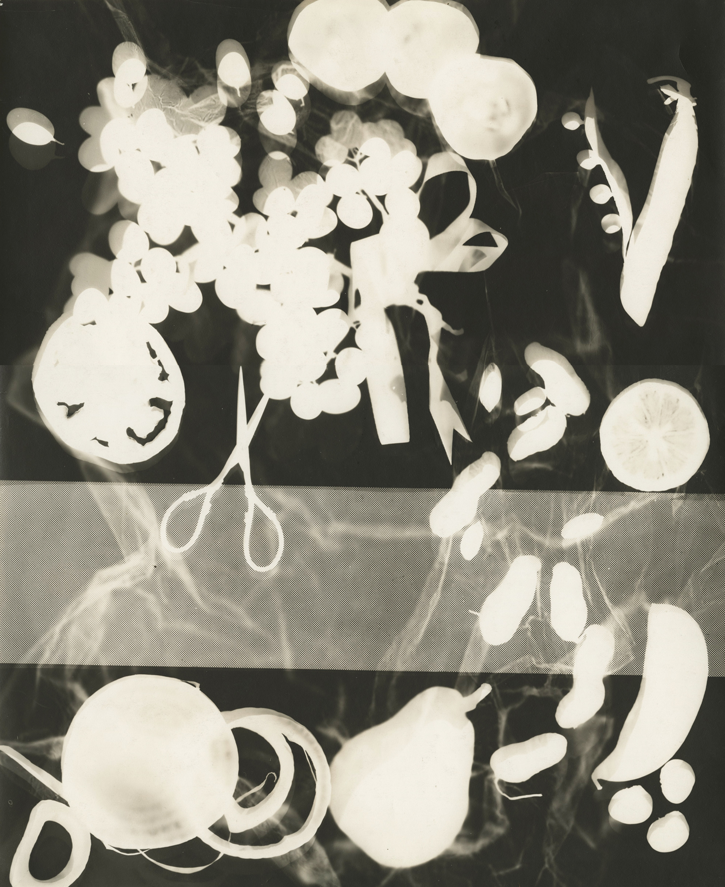 Selections from the Collection - Howard Greenberg Gallery - 2016