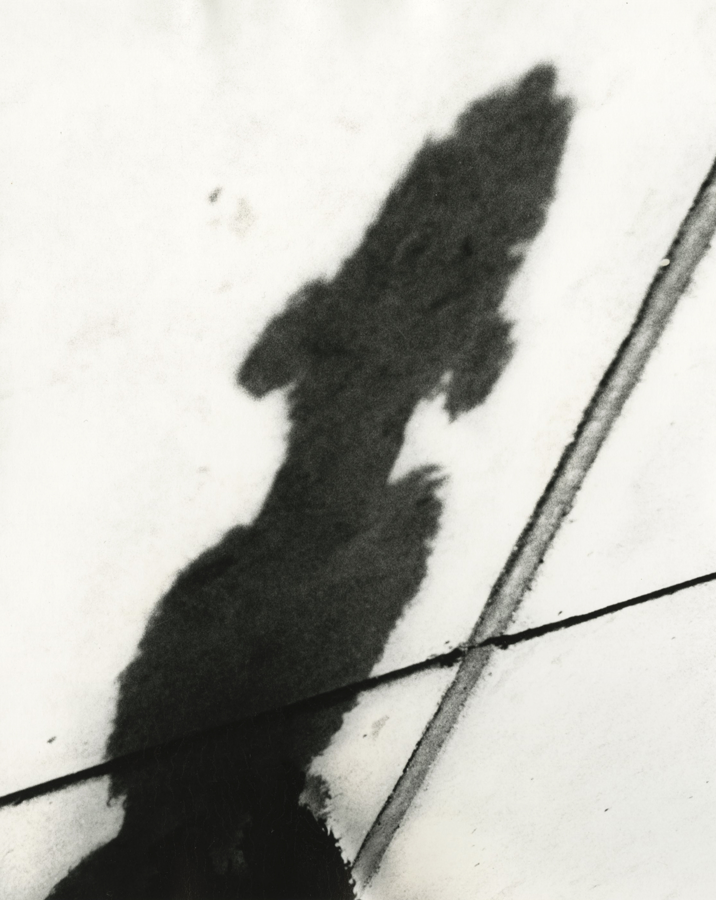 Marvin E. Newman: Sequentially Sought - Howard Greenberg Gallery - 2015