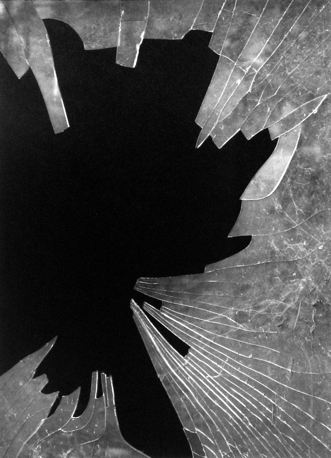 Photo Libris: Selected Books and Portfolios 2006 howard greenberg gallery