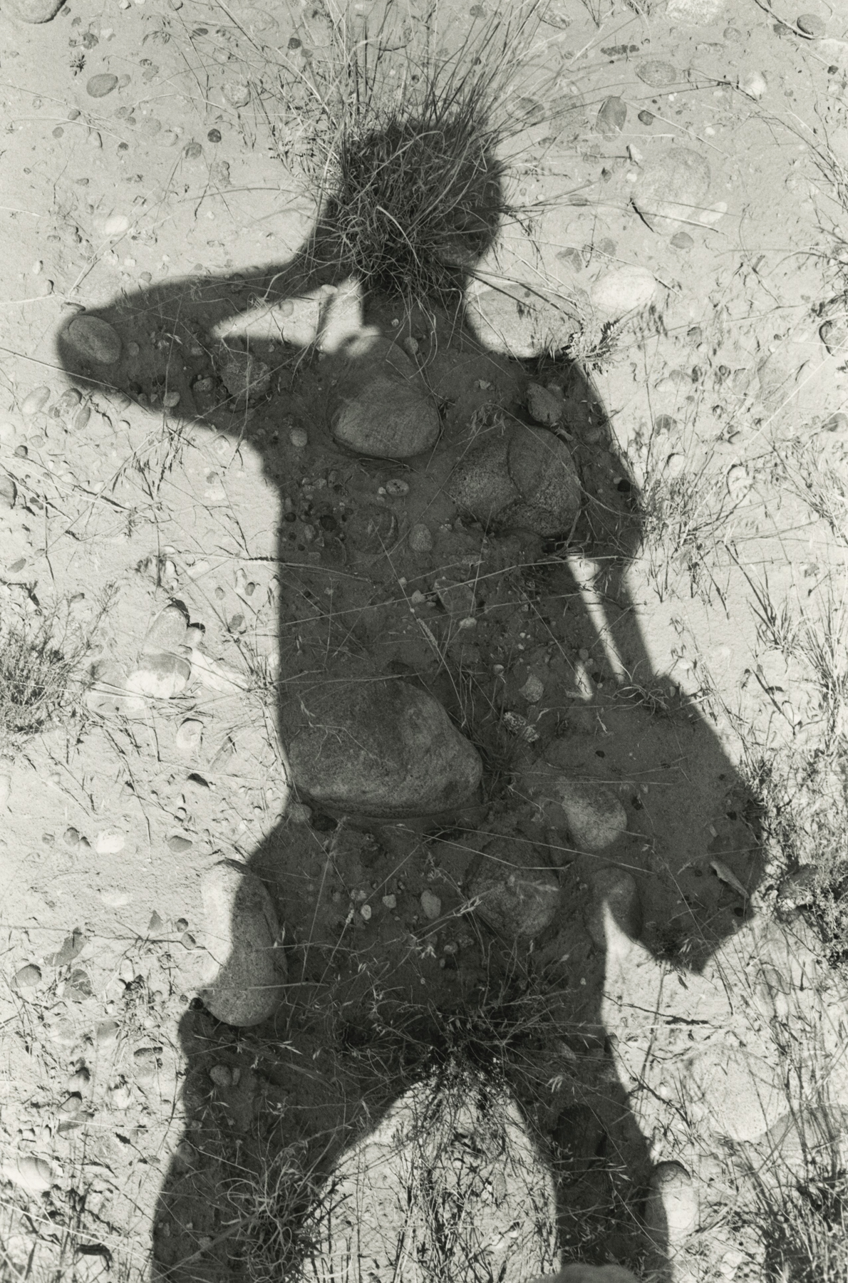 Self-Portraits 2013 2014 howard greenberg gallery