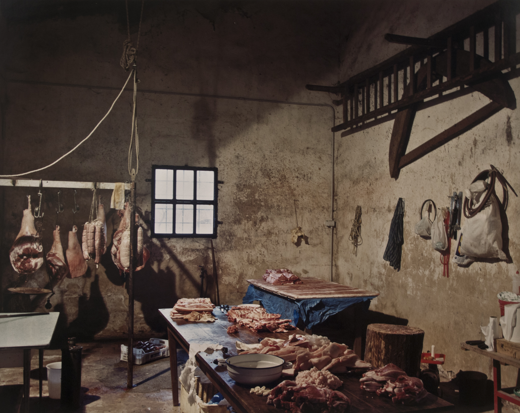 Joel Meyerowitz - Europe: Tuscany and Provence 2012 2013 Howard Greenberg Gallery