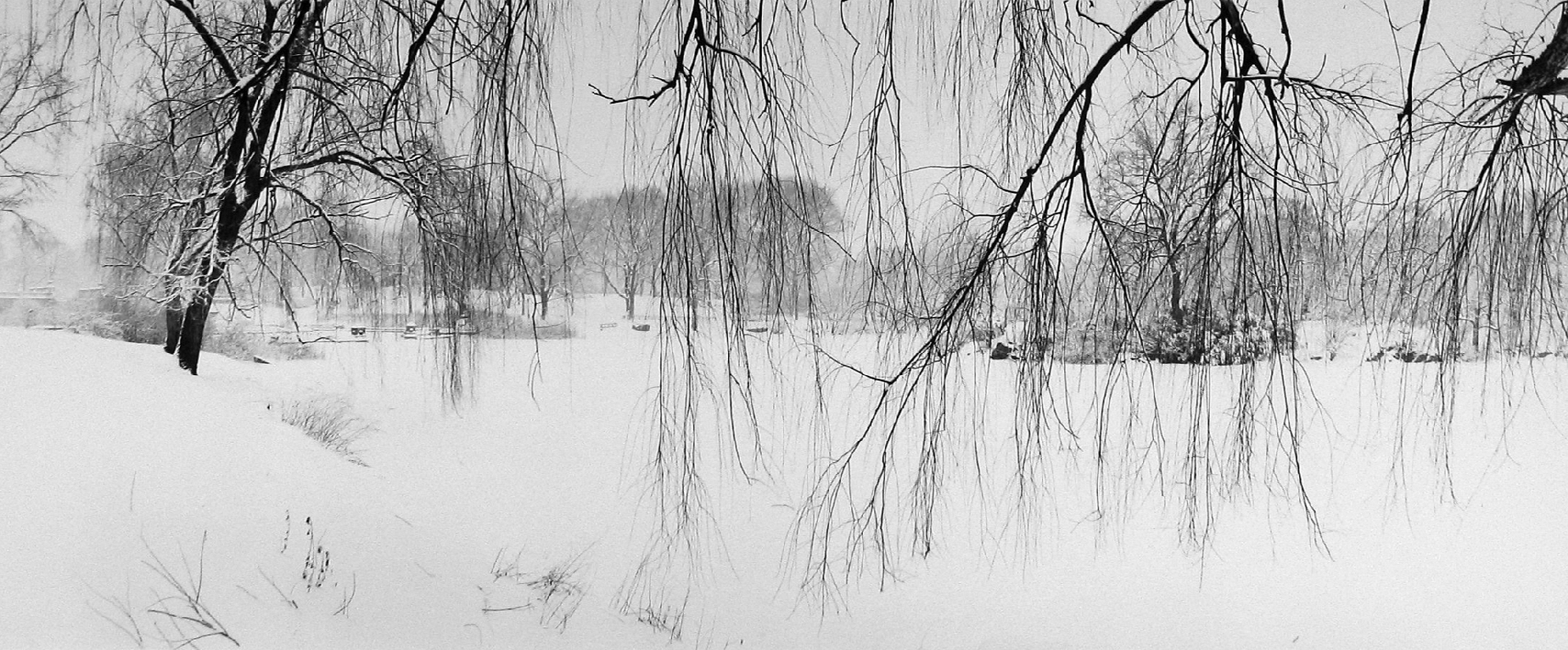 Bruce Davidson, Central Park 1992, Howard Greenberg Gallery, 2019