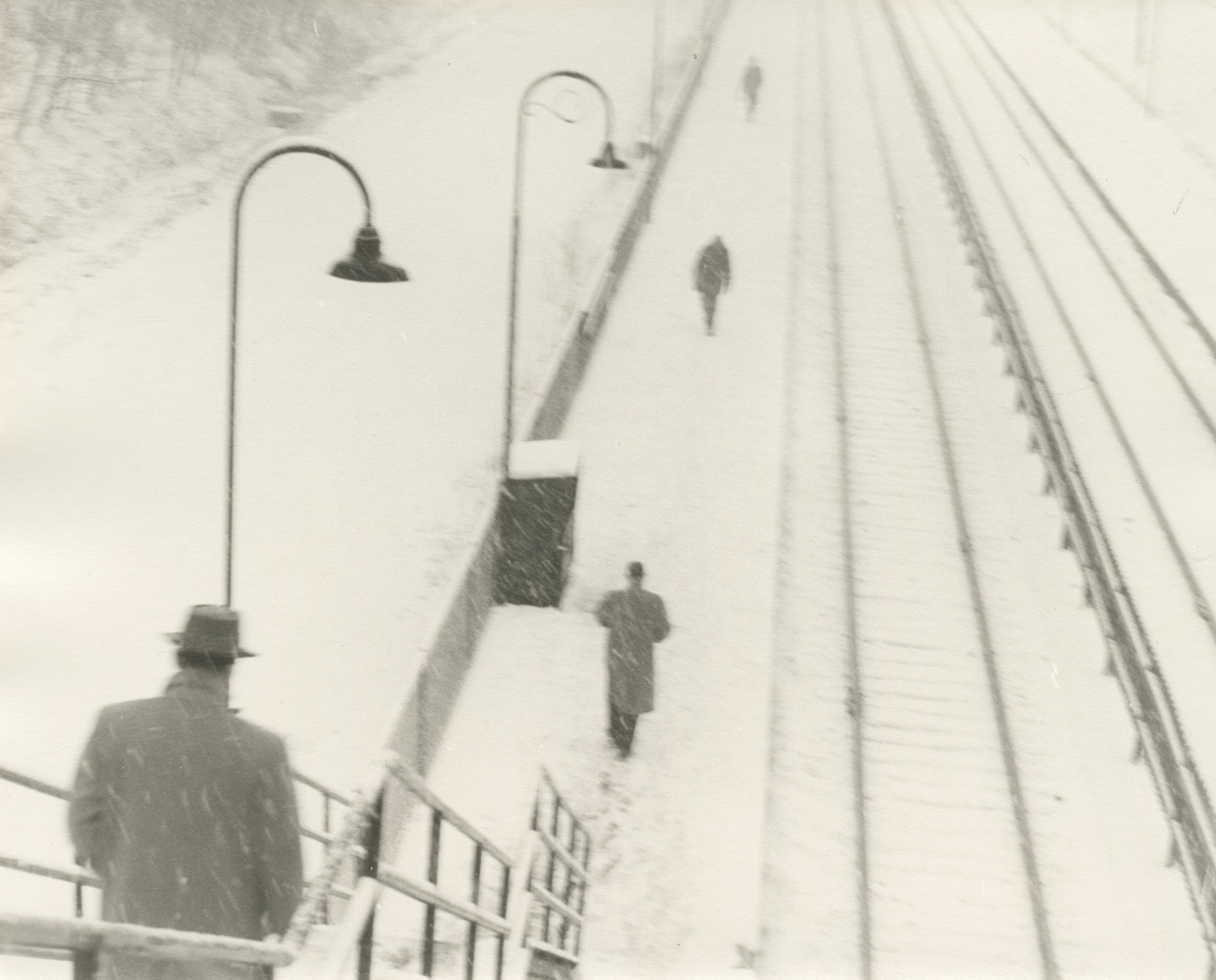 Vivian Maier - In Her Own Hands - Howard Greenberg Gallery - 2014 - 2015