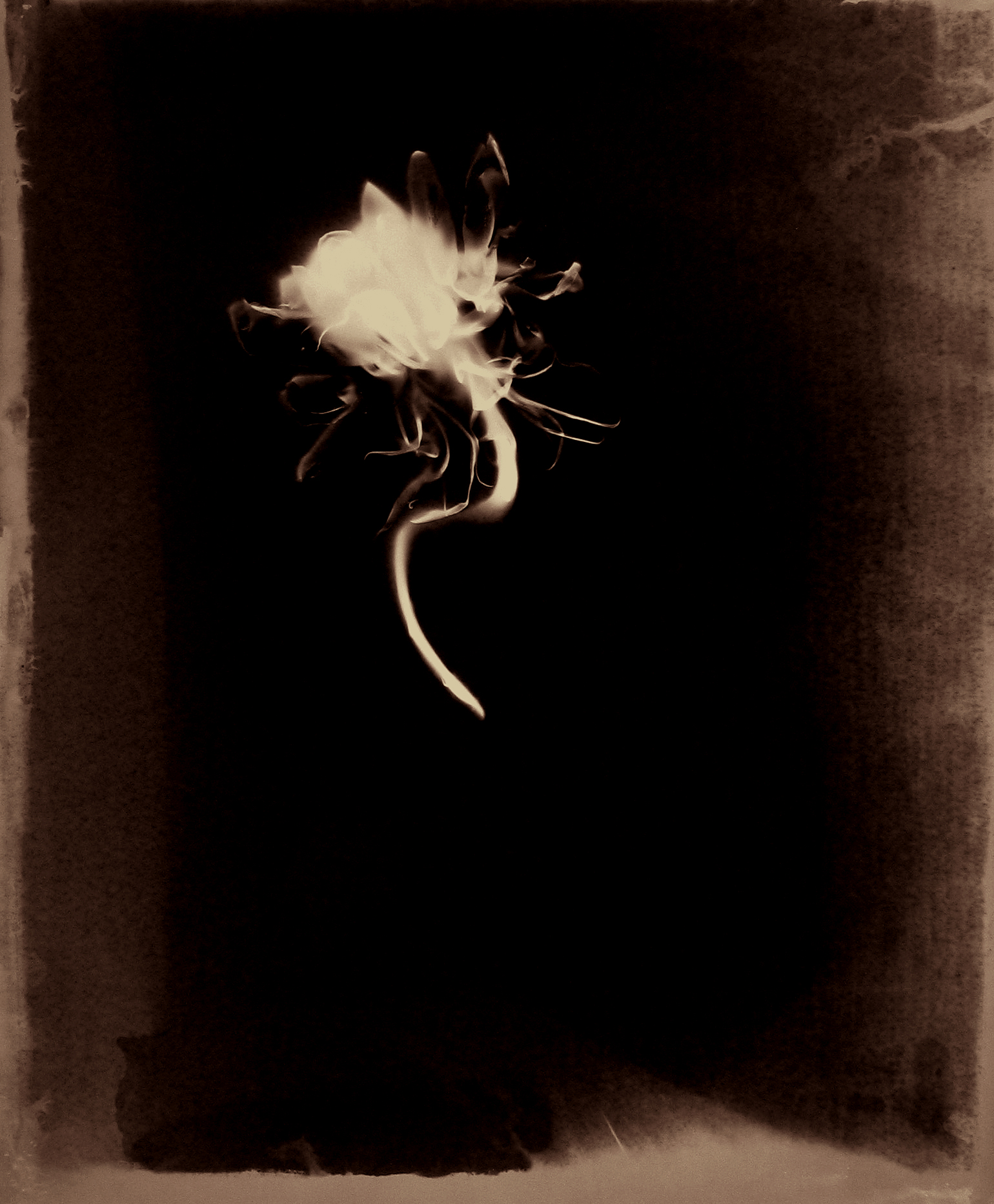 Staff Picks 2010 Howard Greenberg Gallery