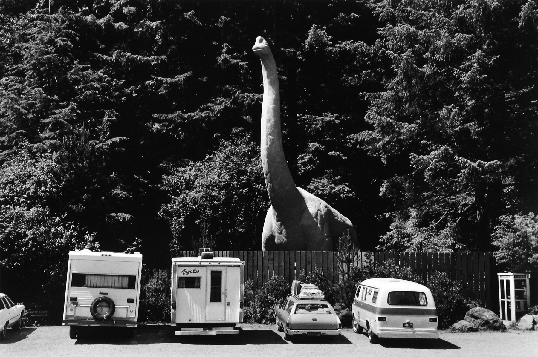 Dennis Stock: Altered States 2009 Howard Greenberg Gallery