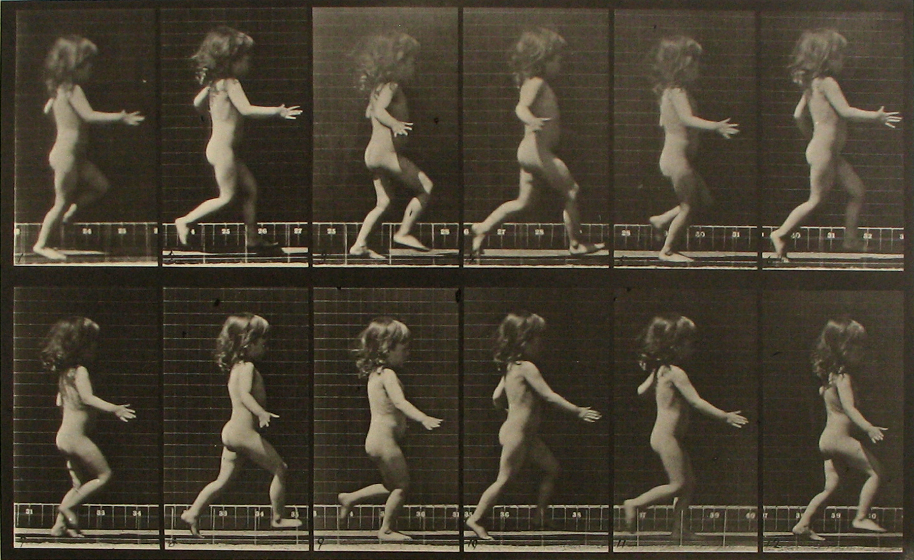 Selections From Private Collections 2011 Howard Greenberg Gallery