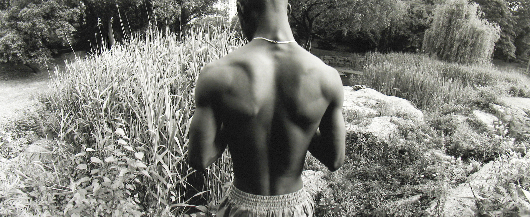 Bruce Davidson, Central Park Panorama, Howard Greenberg Gallery, 2019