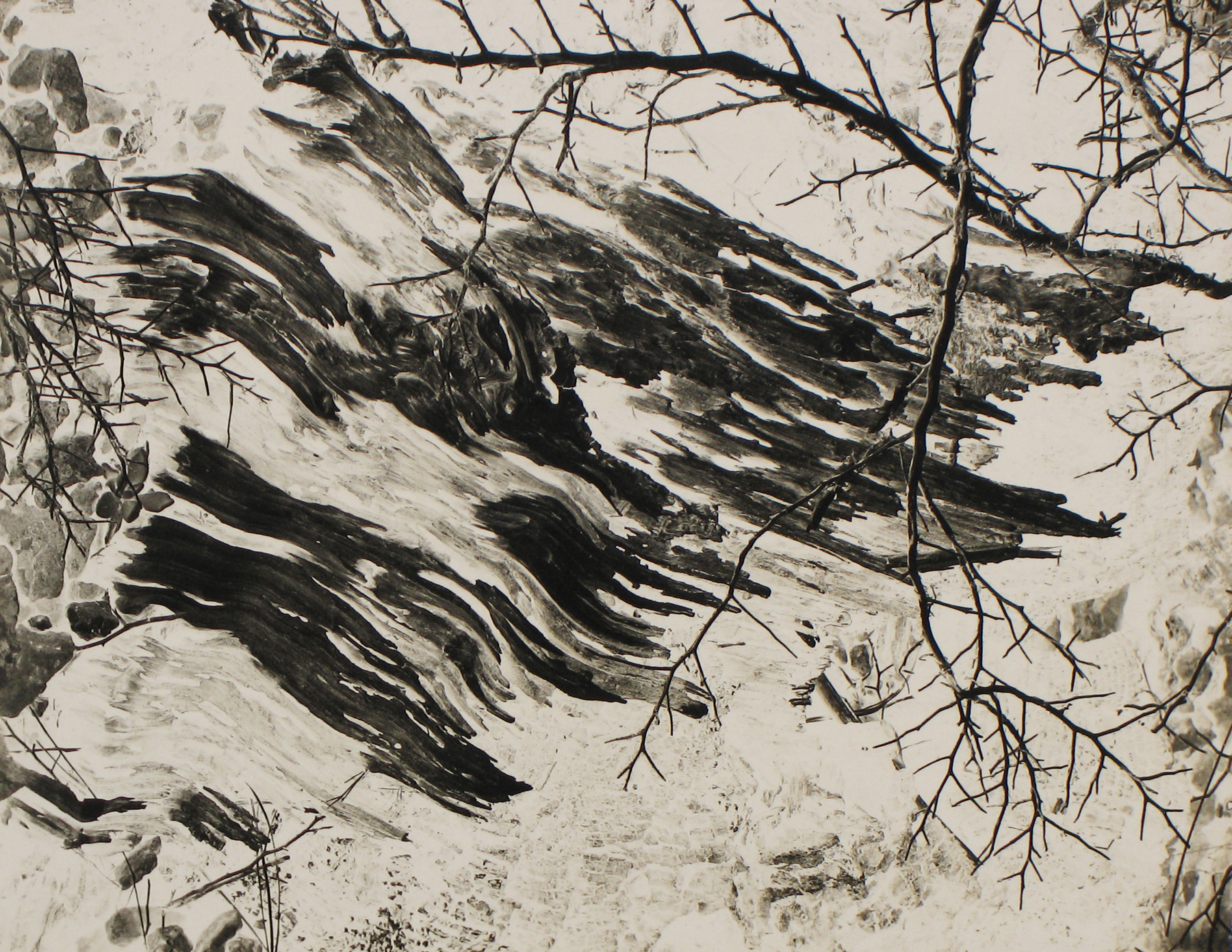 Minor White: Eye Mind Spirit 2008 Howard Greenberg Gallery