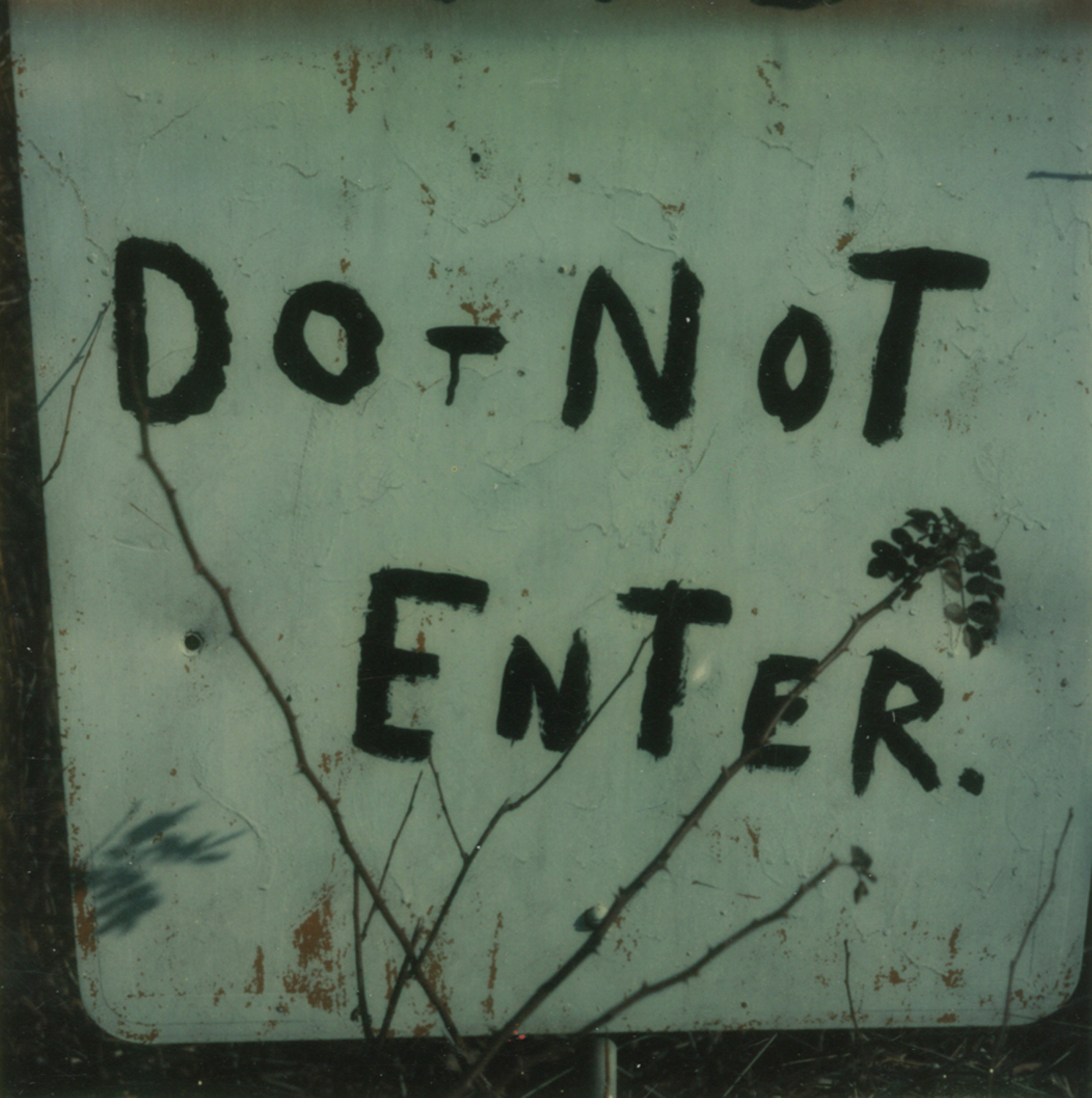 Walker Evans, Untitled, 1973-74, Howard Greenberg gallery, 2019