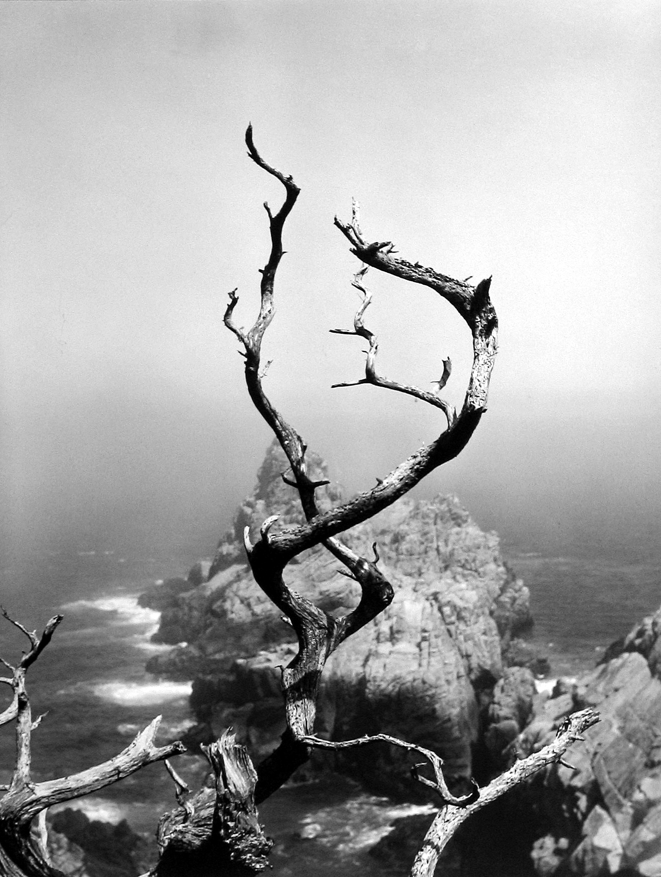 Minor White: Eye Mind Spirit 2008 Howard Greenberg Gallery