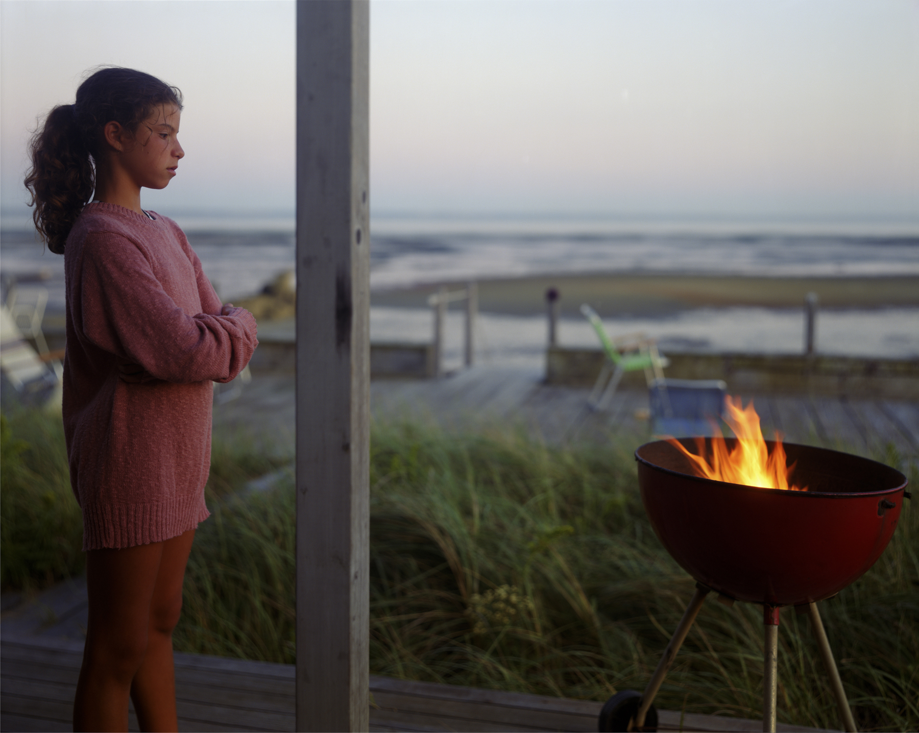 Joel Meyerowitz: Between the Dog and the Wolf, Howard Greenberg Gallery, 2017